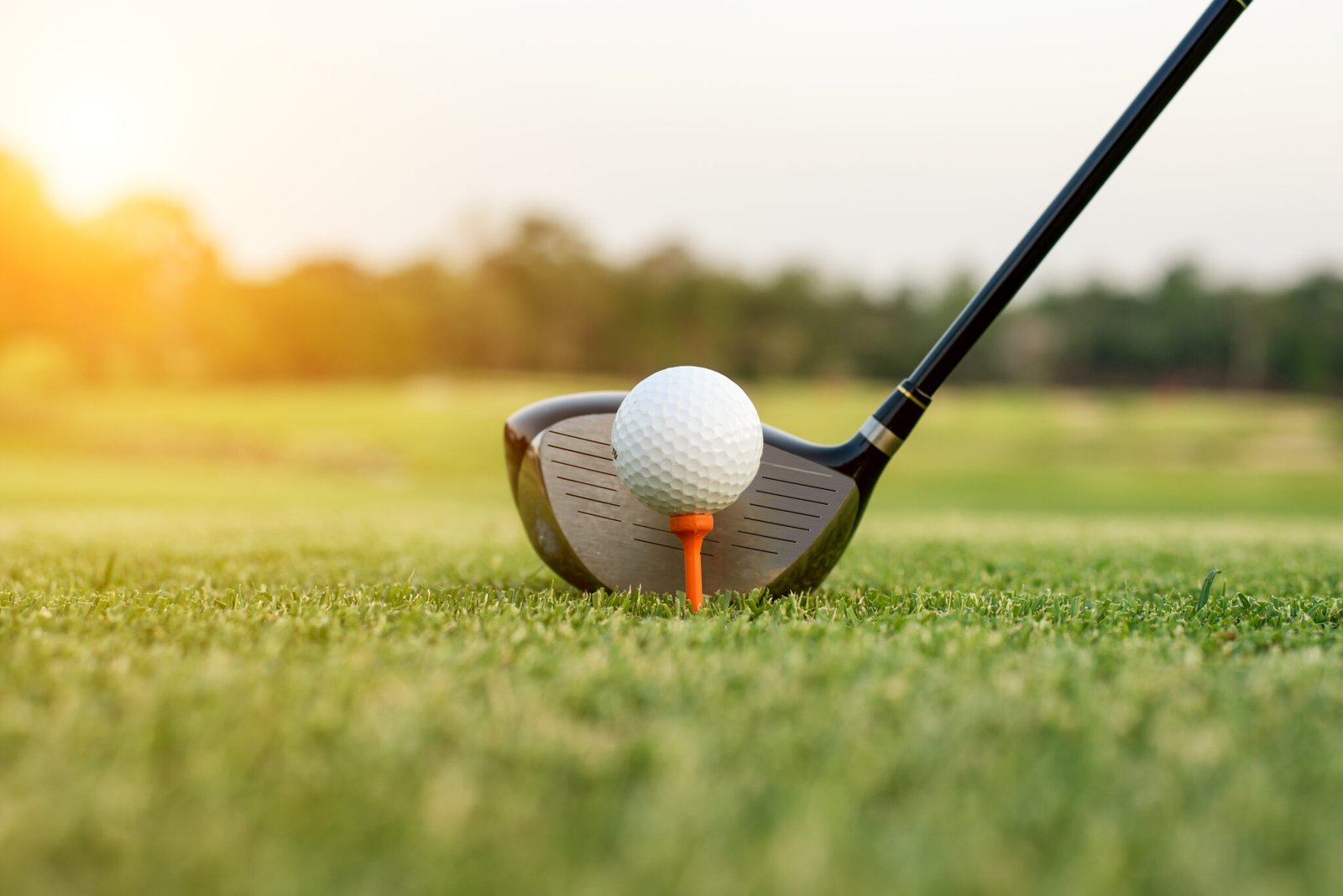 Golf club and ball in grass with sunlight. Close up at golf club and golf ball.