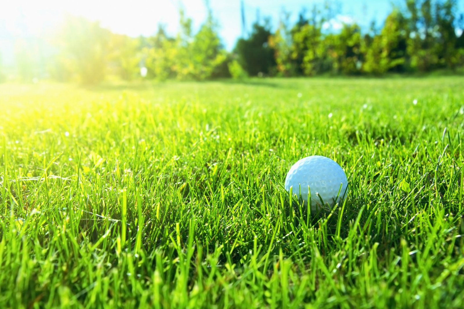 Golf game. Golf balls in grass.